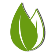 Save Some Green