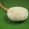 Sisal Back Brush