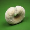 Sisal Body Brush
