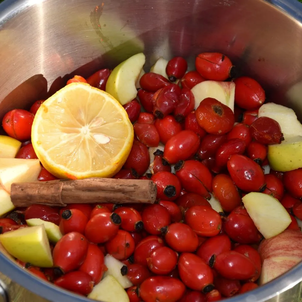 image of a pan with the ingredients to cook Rosehip Jam