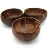 Coconut bowl