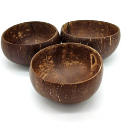 Coconut bowl