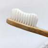Ecobrite Toothbrush