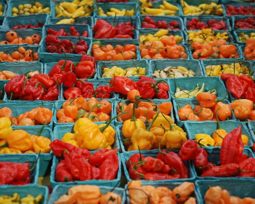 image of fresh peppers