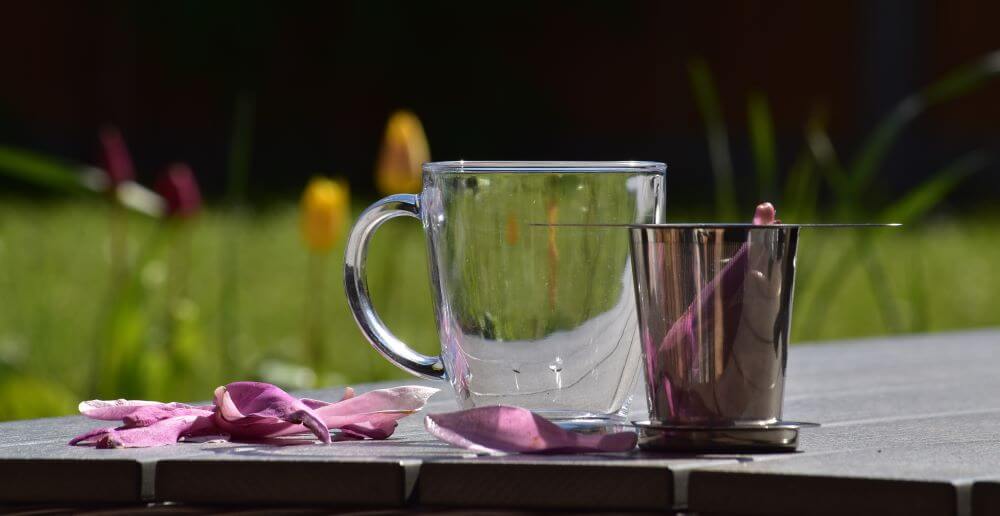 image of a tea glass and a cup infsuer and magnolia leaves on a garden table