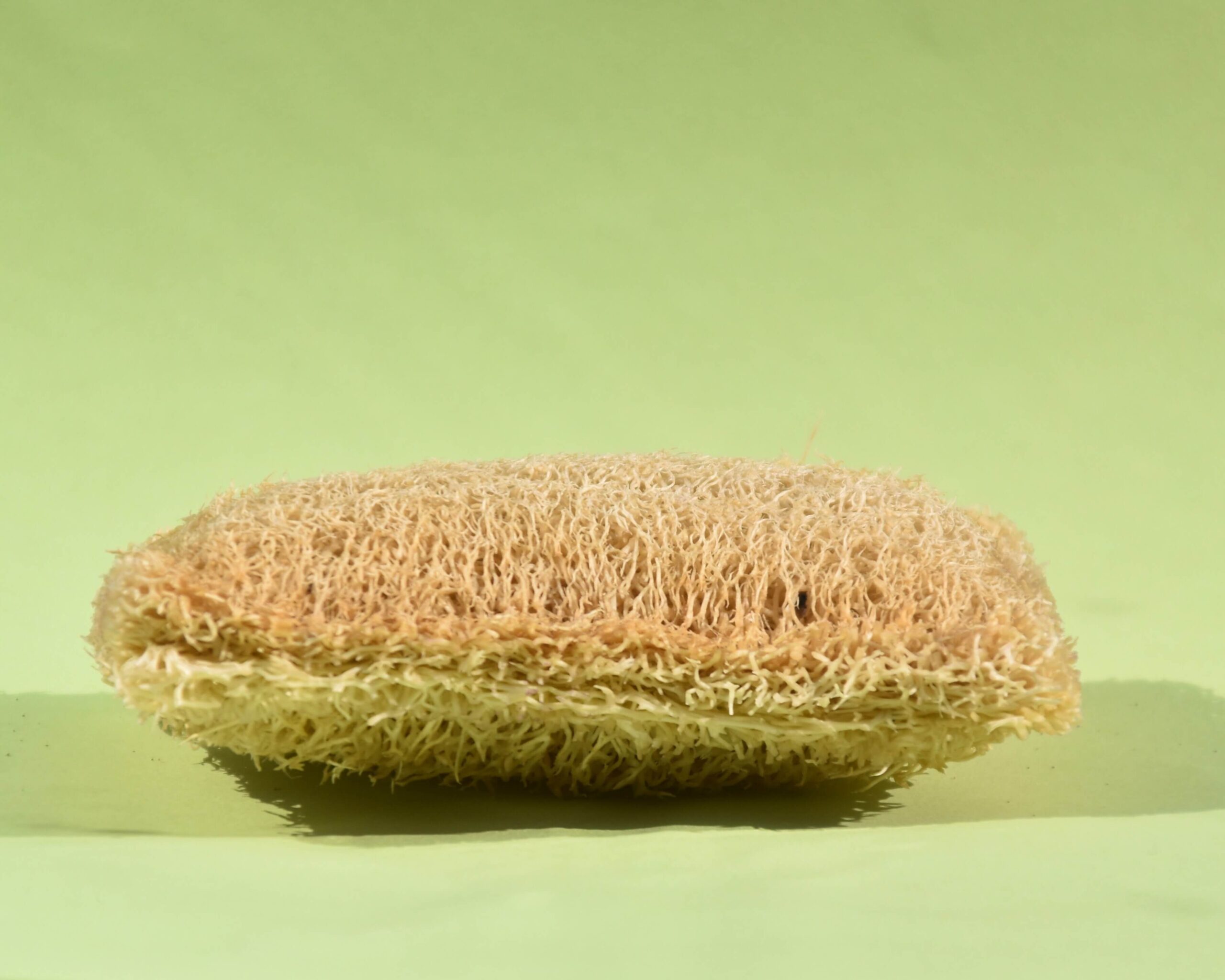 Cleaned and dried natural loofah sponge showing the open fibrous plant structure