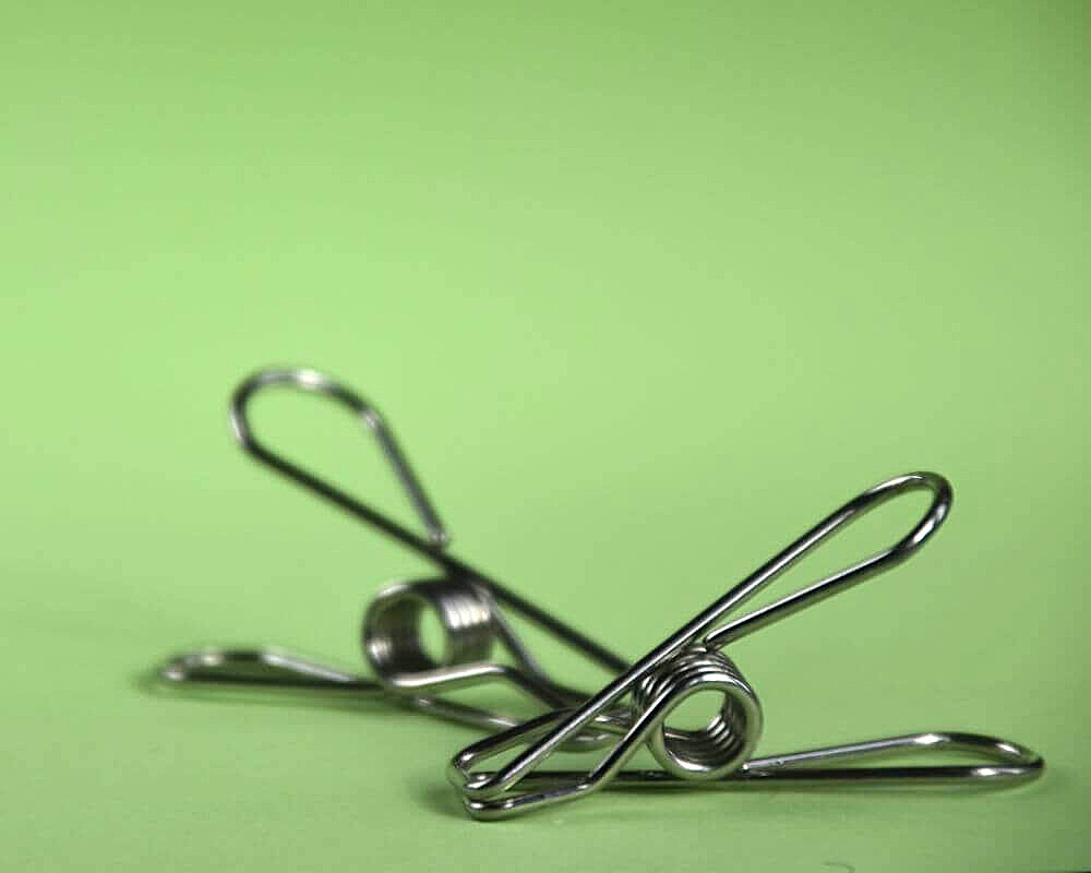 Image of two plastic free stainless steel pegs, against a pale green background.